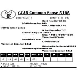 CCAR Common Sense 5165