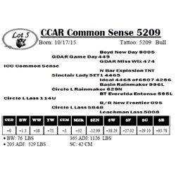 CCAR Common Sense 5209