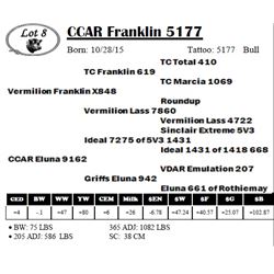 CCAR Franklin 5177