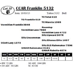 CCAR Franklin 5132