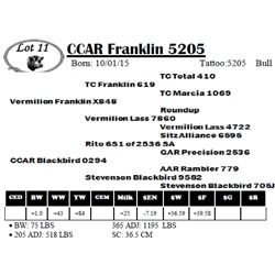 CCAR Franklin 5205