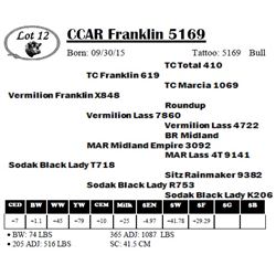 CCAR Franklin 5169