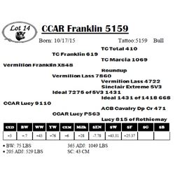 CCAR Franklin 5159