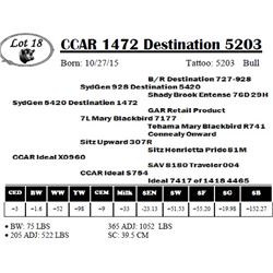 CCAR 1472 Destination 5203