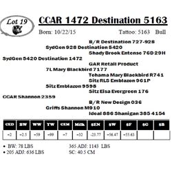 CCAR 1472 Destination 5163