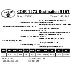 CCAR 1472 Destination 5167