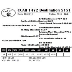 CCAR 1472 Destination 5151