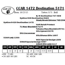 CCAR 1472 Destination 5171
