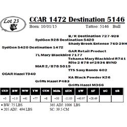 CCAR 1472 Destination 5146