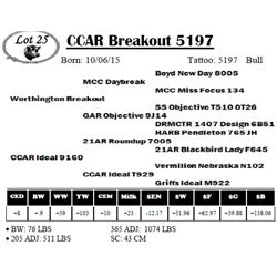 CCAR Breakout 5197