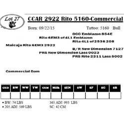 CCAR 2922 Rito 5160-Commercial