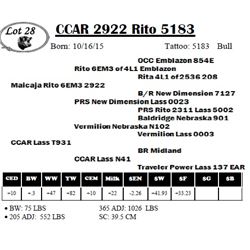 CCAR 2922 Rito 5183