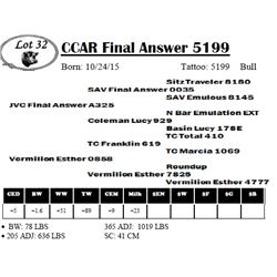 CCAR Final Answer 5199