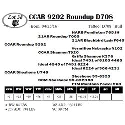 CCAR 9202 Roundup D708