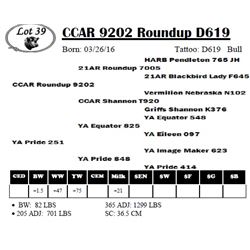 CCAR 9202 Roundup D619