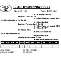 CCAR Trustworthy D833