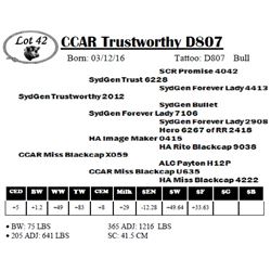 CCAR Trustworthy D807