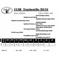 CCAR Trustworthy D816