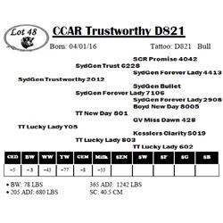 CCAR Trustworthy D821