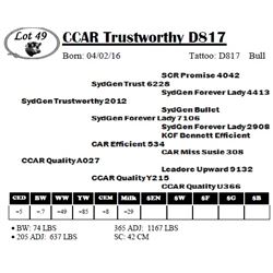 CCAR Trustworthy D817