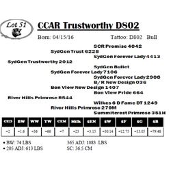 CCAR Trustworthy D802