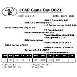 CCAR Game Day D021