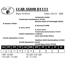 CCAR AXIOM D1111