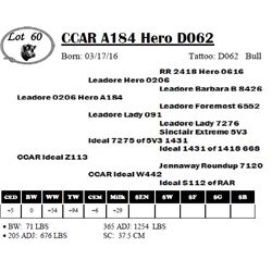 CCAR A184 Hero D062