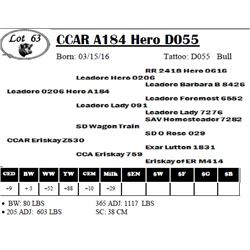 CCAR A184 Hero D055