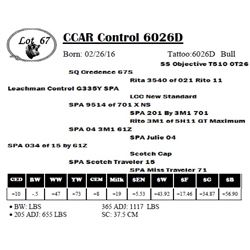 CCAR Control 6026D