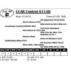 CCAR Control 6114D