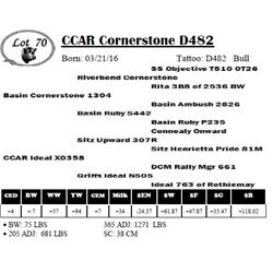 CCAR Cornerstone D482