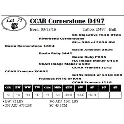 CCAR Cornerstone D497