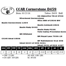 CCAR Cornerstone D459