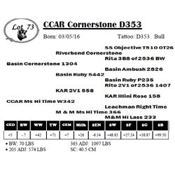 CCAR Cornerstone D353