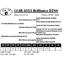 CCAR A553 Brilliance D788