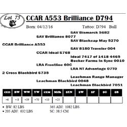 CCAR A553 Brilliance D794