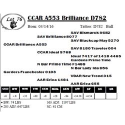 CCAR A553 Brilliance D782