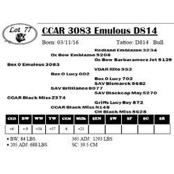 CCAR 3083 Emulous D814