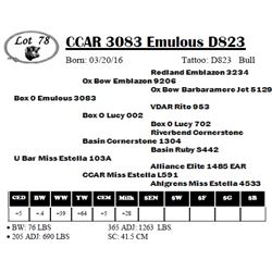 CCAR 3083 Emulous D823