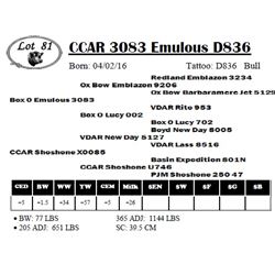 CCAR 3083 Emulous D836