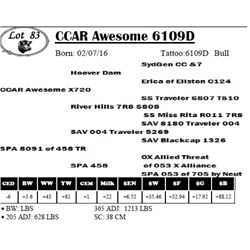 CCAR Awesome 6109D