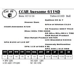 CCAR Awesome 6118D