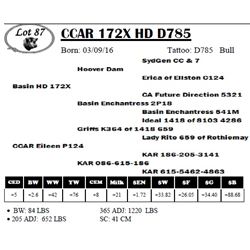 CCAR 172X HD D785