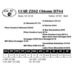 CCAR Z262 Chisum D784