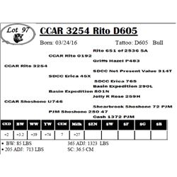 CCAR 3254 Rito D605