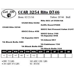 CCAR 3254 Rito D746