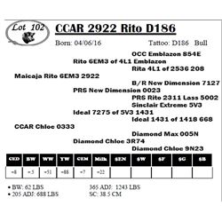 CCAR 2922 Rito D186