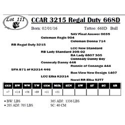 CCAR 3215 Regal Duty 668D