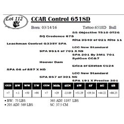 CCAR Control 6518D